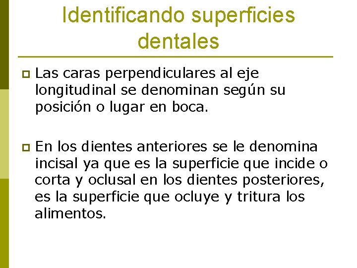 Identificando superficies dentales p Las caras perpendiculares al eje longitudinal se denominan según su