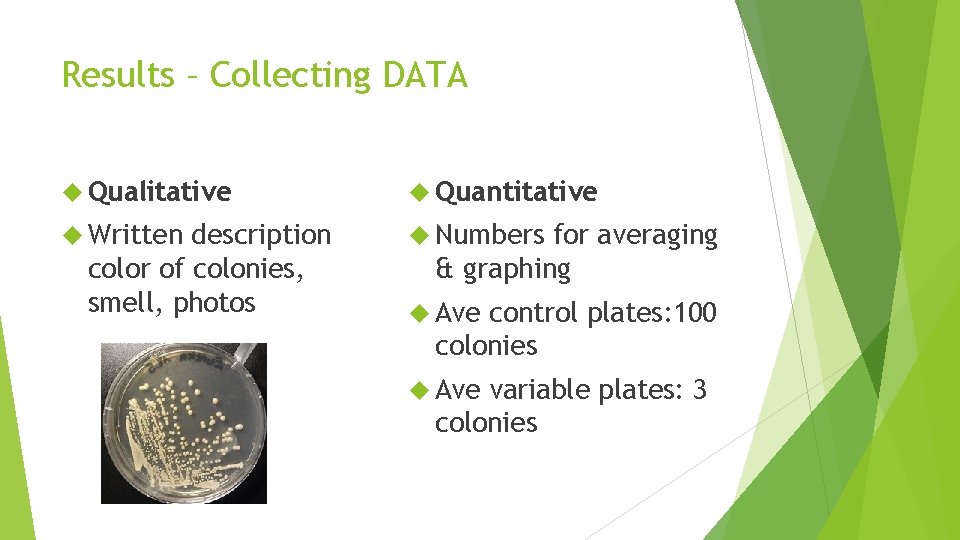 Results – Collecting DATA Qualitative Quantitative Written Numbers description color of colonies, smell, photos