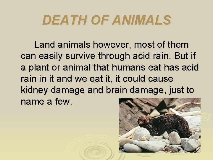 DEATH OF ANIMALS Land animals however, most of them can easily survive through acid