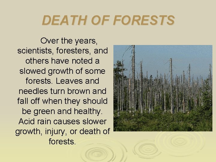 DEATH OF FORESTS Over the years, scientists, foresters, and others have noted a slowed