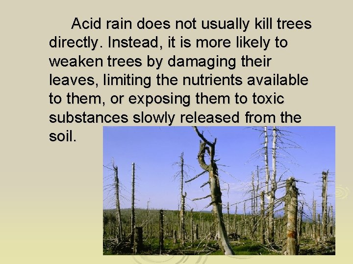 Acid rain does not usually kill trees directly. Instead, it is more likely to