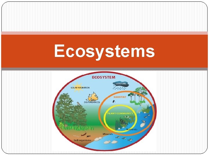 Ecosystems 