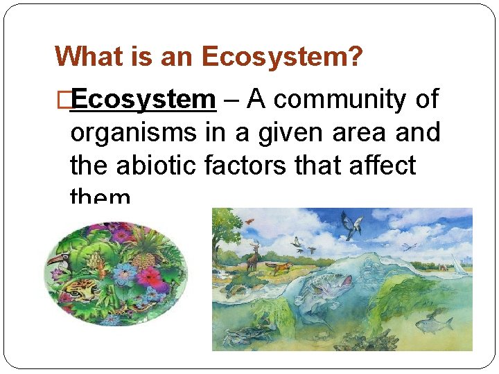 What is an Ecosystem? �Ecosystem – A community of organisms in a given area