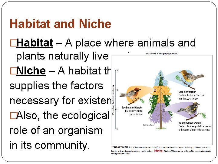 Habitat and Niche �Habitat – A place where animals and plants naturally live and