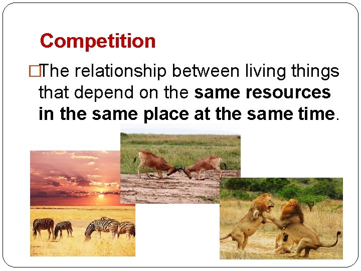 Competition �The relationship between living things that depend on the same resources in the