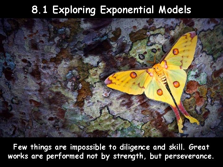 8. 1 Exploring Exponential Models Few things are impossible to diligence and skill. Great