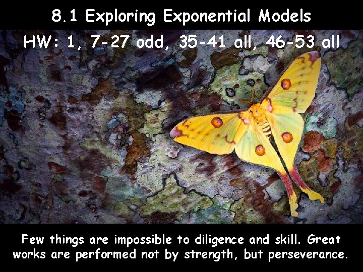 8. 1 Exploring Exponential Models HW: 1, 7 -27 odd, 35 -41 all, 46