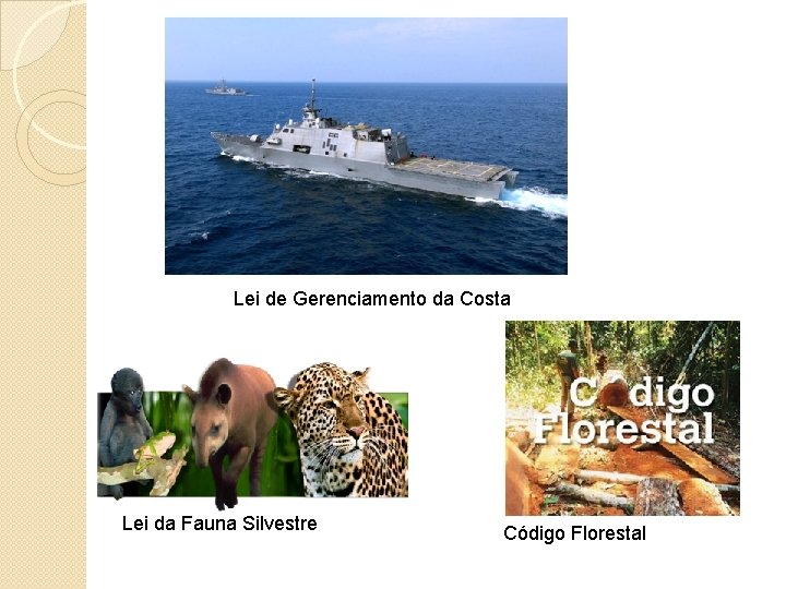 Lei de Gerenciamento da Costa Lei da Fauna Silvestre Código Florestal 