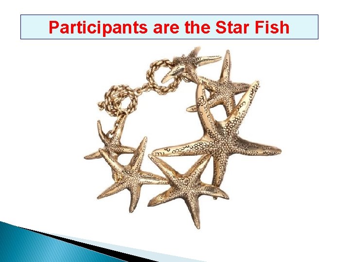 Participants are the Star Fish 