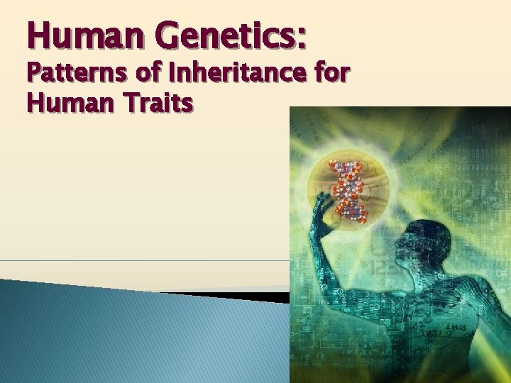 Human Genetics: Patterns of Inheritance for Human Traits 