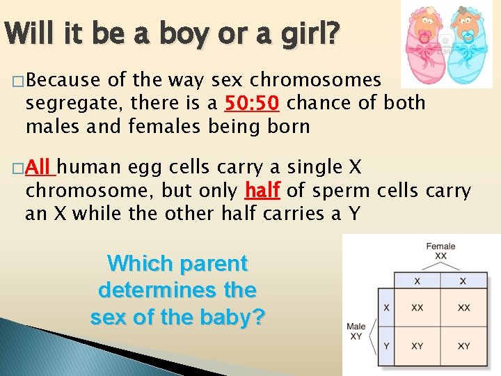 Will it be a boy or a girl? � Because of the way sex