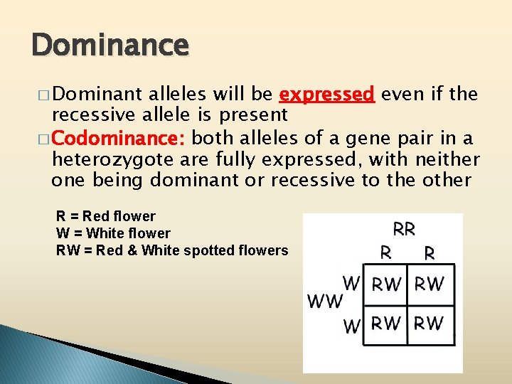 Dominance � Dominant alleles will be expressed even if the recessive allele is present