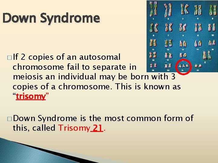 Down Syndrome � If 2 copies of an autosomal chromosome fail to separate in