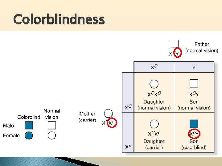 Colorblindness 