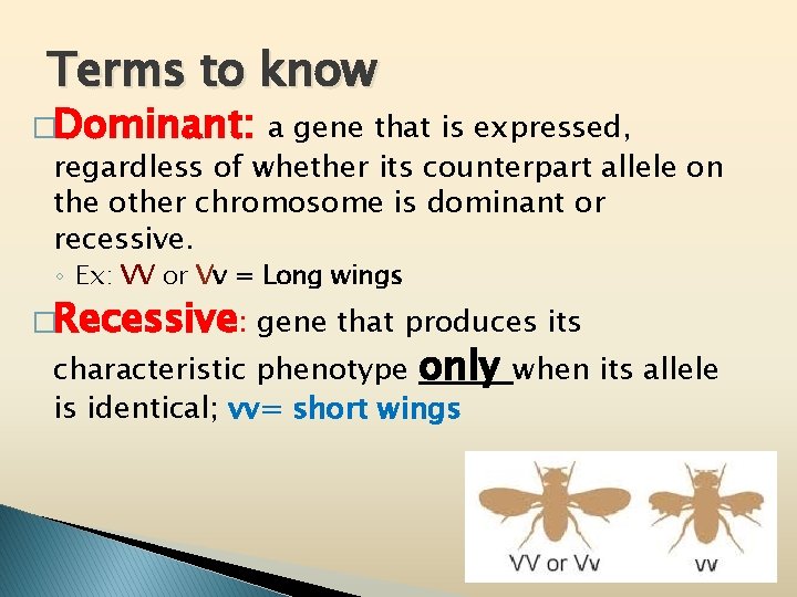 Terms to know �Dominant: a gene that is expressed, regardless of whether its counterpart