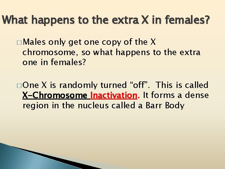 What happens to the extra X in females? � Males only get one copy