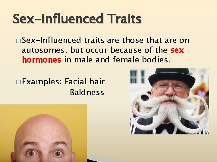 Sex-influenced Traits � Sex-Influenced traits are those that are on autosomes, but occur because