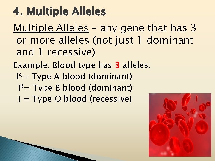 4. Multiple Alleles – any gene that has 3 or more alleles (not just