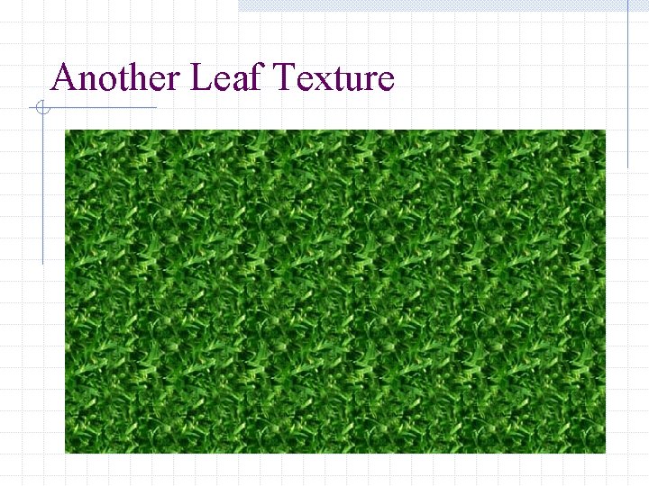 Another Leaf Texture 