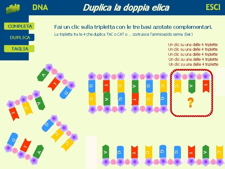 Duplica la doppia elica educare alla scienza e alla tecnologia COMPLETA Fai un clic