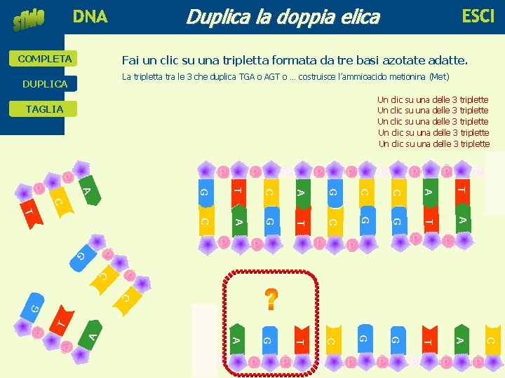 Duplica la doppia elica educare alla scienza e alla tecnologia COMPLETA Fai un clic