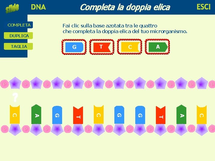 Completa la doppia elica educare alla scienza e alla tecnologia COMPLETA Fai clic sulla