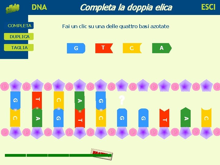 Completa la doppia elica educare alla scienza e alla tecnologia COMPLETA Fai un clic