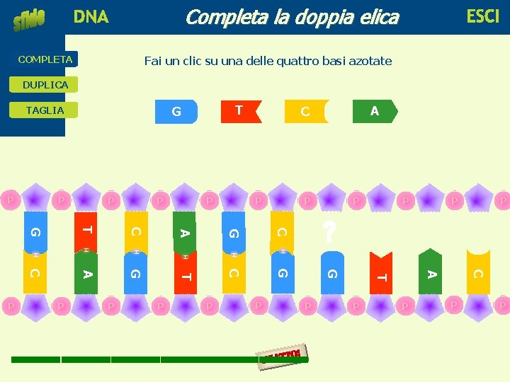 Completa la doppia elica educare alla scienza e alla tecnologia COMPLETA Fai un clic