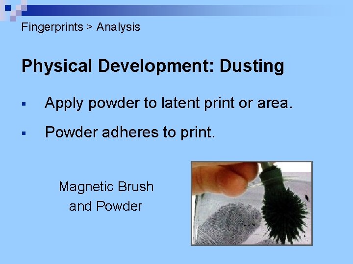 Fingerprints > Analysis Physical Development: Dusting § Apply powder to latent print or area.