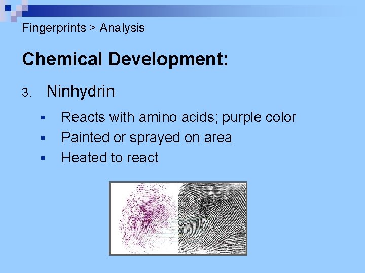 Fingerprints > Analysis Chemical Development: Ninhydrin 3. § § § Reacts with amino acids;