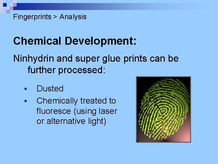 Fingerprints > Analysis Chemical Development: Ninhydrin and super glue prints can be further processed: