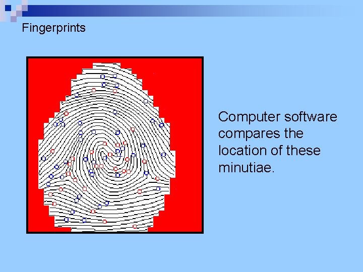 Fingerprints Computer software compares the location of these minutiae. 