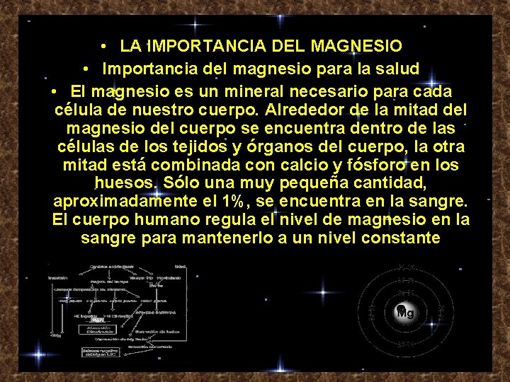  • LA IMPORTANCIA DEL MAGNESIO • Importancia del magnesio para la salud •