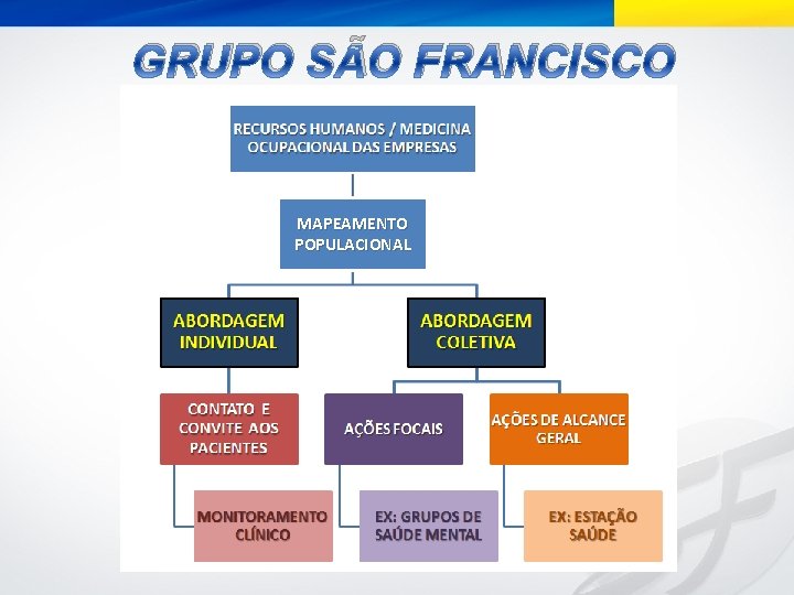 GRUPO SÃO FRANCISCO MAPEAMENTO POPULACIONAL 