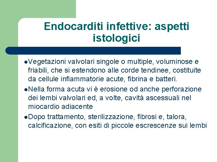 Endocarditi infettive: aspetti istologici l. Vegetazioni valvolari singole o multiple, voluminose e friabili, che