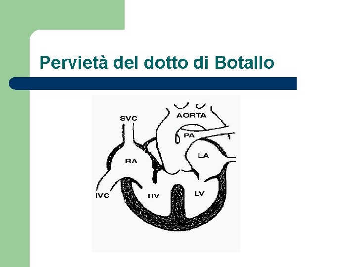 Pervietà del dotto di Botallo 