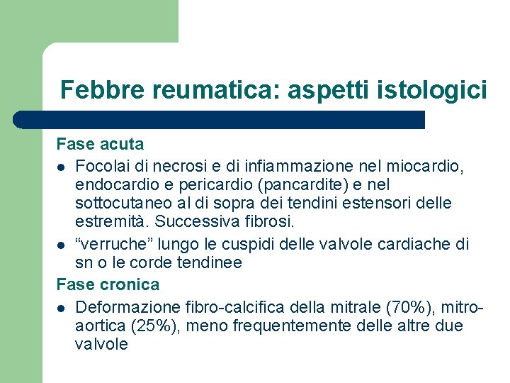 Febbre reumatica: aspetti istologici Fase acuta l Focolai di necrosi e di infiammazione nel