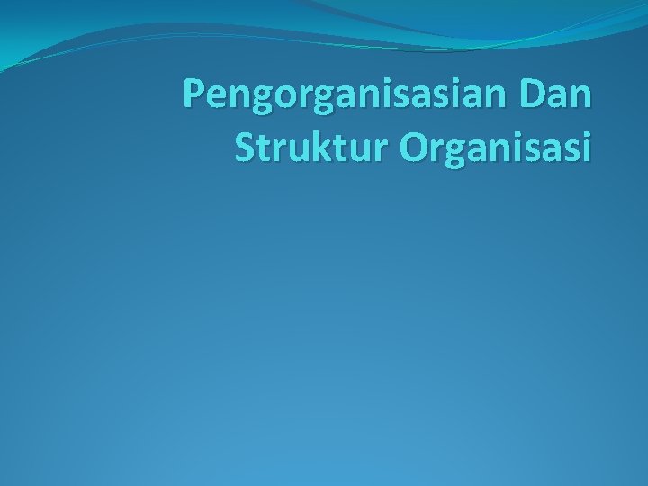 Pengorganisasian Dan Struktur Organisasi 