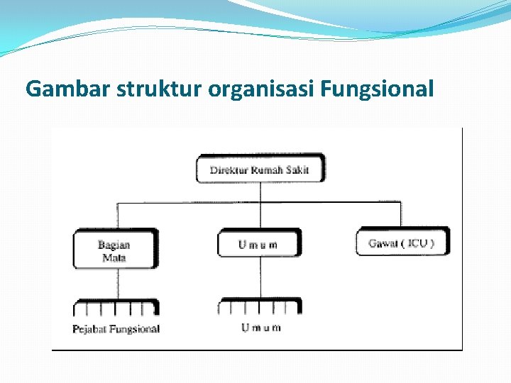 Gambar struktur organisasi Fungsional 