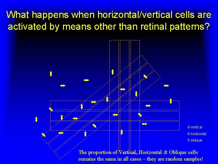 What happens when horizontal/vertical cells are activated by means other than retinal patterns? 9