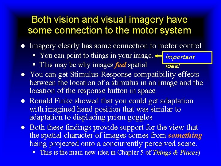 Both vision and visual imagery have some connection to the motor system ● Imagery