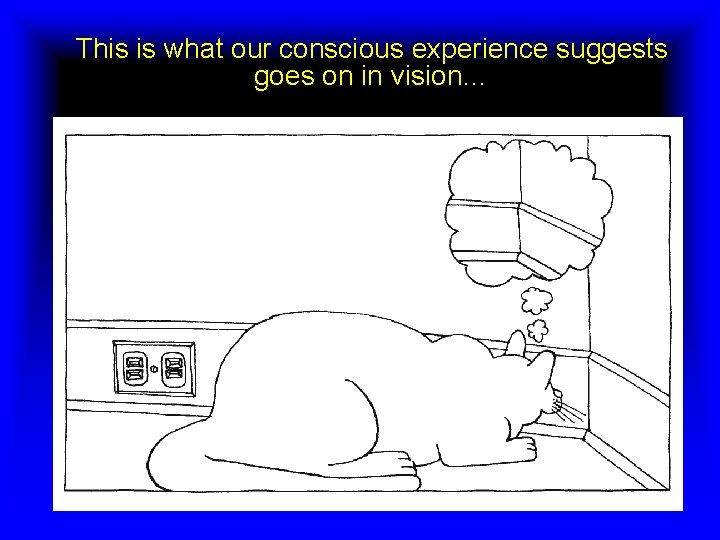 This is what our conscious experience suggests goes on in vision… 