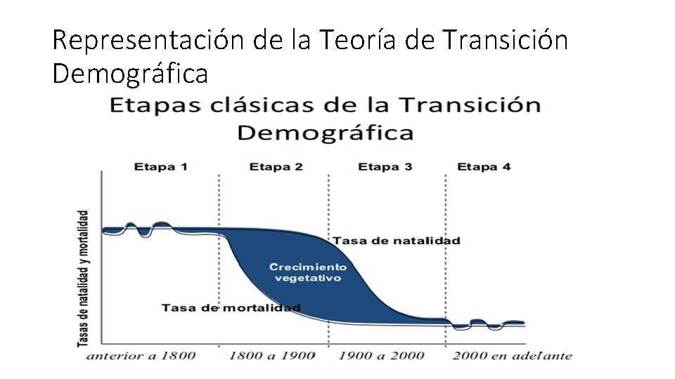 Representación de la Teoría de Transición Demográfica 