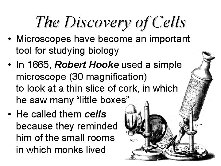 The Discovery of Cells • Microscopes have become an important tool for studying biology