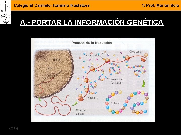 Colegio El Carmelo- Karmelo Ikastetxea © Prof. Marian Sola A. - PORTAR LA INFORMACIÓN