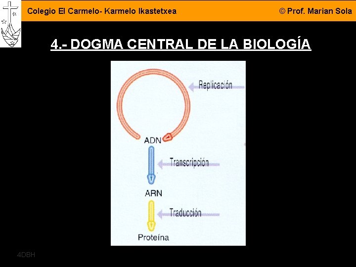 Colegio El Carmelo- Karmelo Ikastetxea © Prof. Marian Sola 4. - DOGMA CENTRAL DE