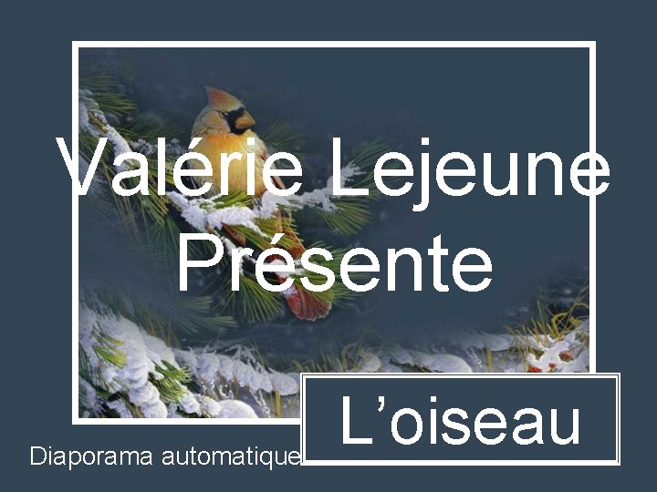 Valérie Lejeune Présente Diaporama automatique L’oiseau 