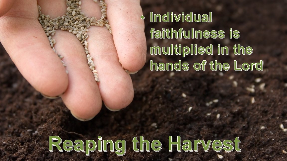  • Individual faithfulness is multiplied in the hands of the Lord Reaping the