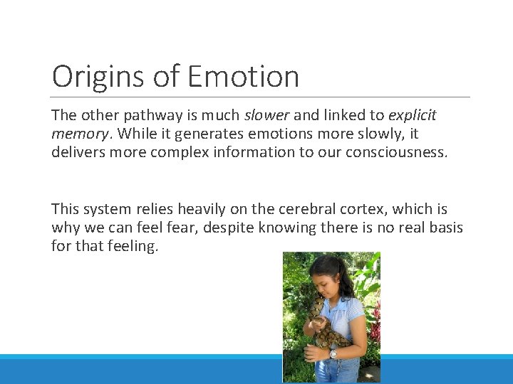 Origins of Emotion The other pathway is much slower and linked to explicit memory.