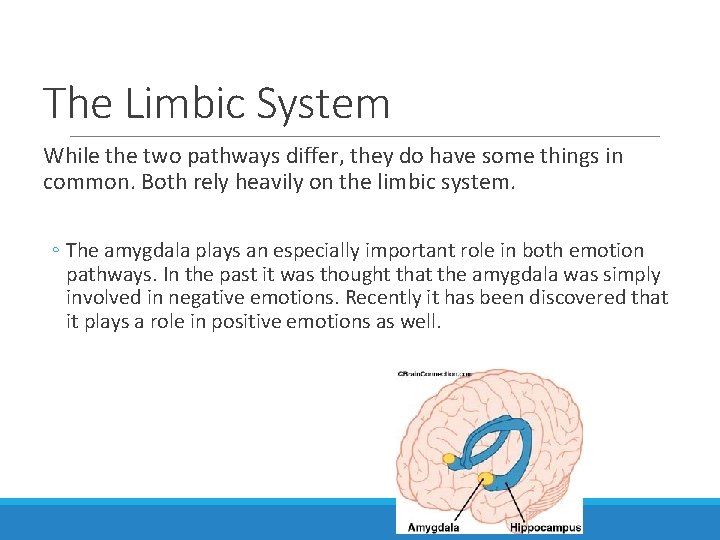 The Limbic System While the two pathways differ, they do have some things in